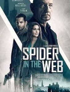 Spider in the Web 2019